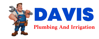 Trusted plumber in TORNILLO